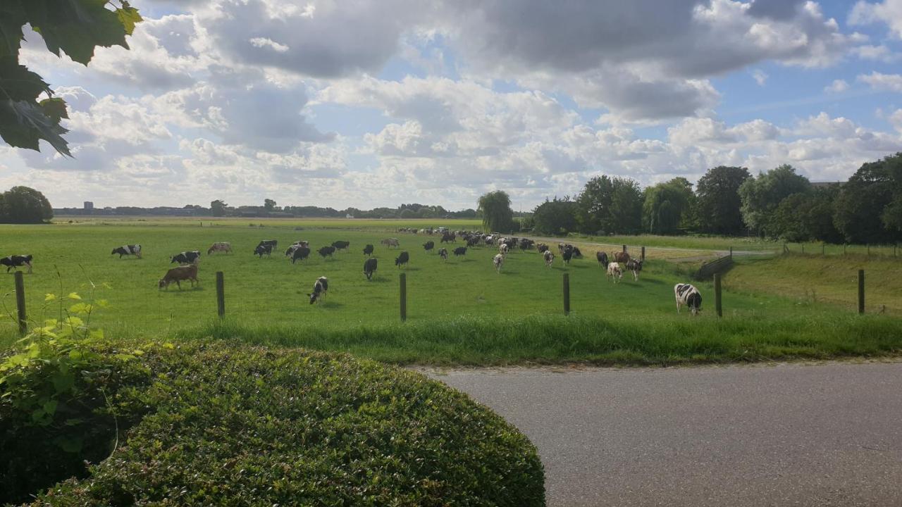 Little Get-A-Way Hellevoetsluis Hotell Rum bild
